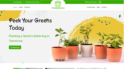 Website Services in Pune