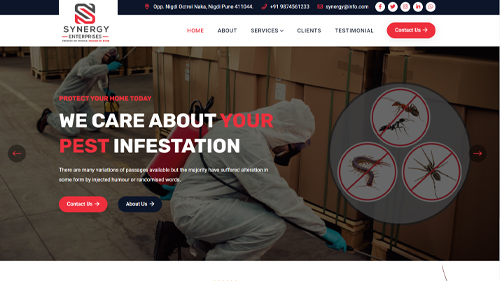 Website Services in Pune
