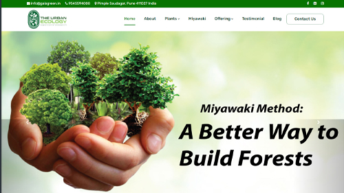 Website Services in Pune
