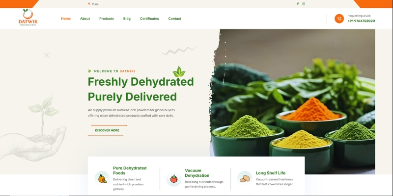 Datwik Food Industries website homepage showing dehydrated spice powders